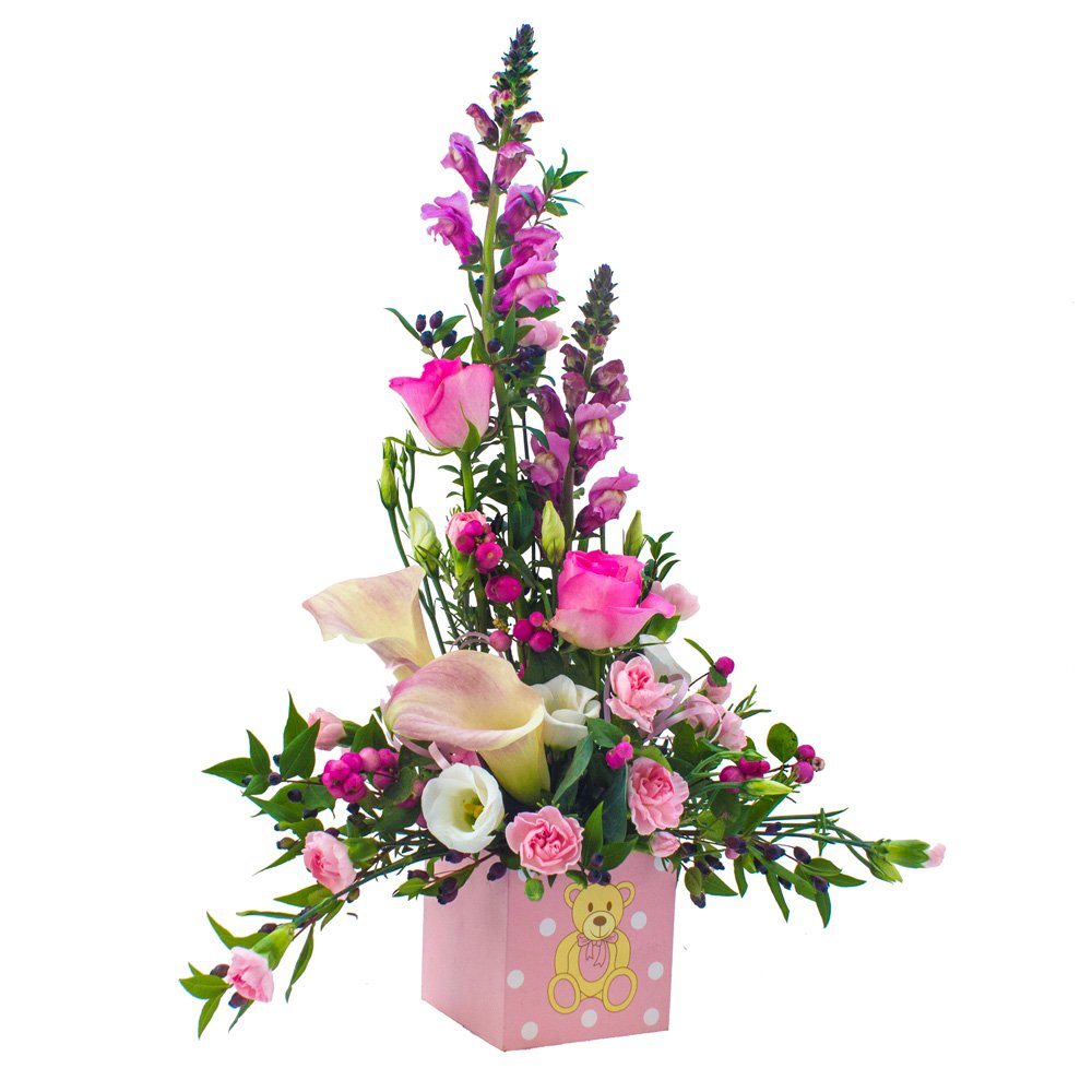 Baby Girl Arrangement